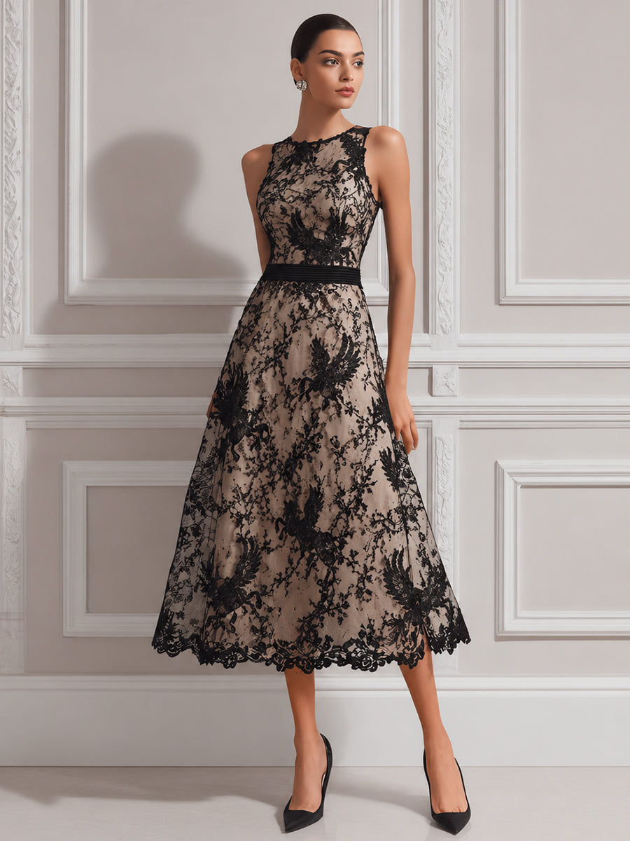 Sleeveless Illusion Neck Lace A-Line Midi Dress