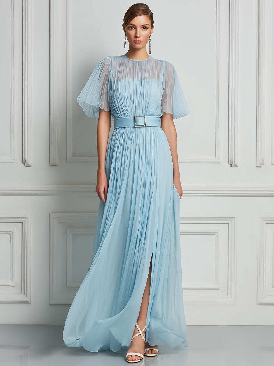 Pleated Sheer Sleeve Maxi Dress